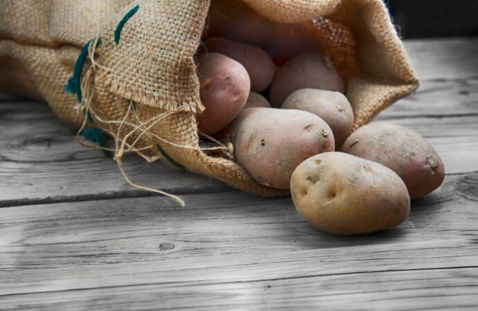 Ziemniaki w pigułce czasu: Szybkie gotowanie dla zabieganych