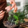 Jak samodzielnie zrobić mały ogródek w słoiku?