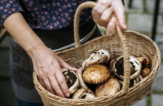 Dlaczego warto uwzględnić pieczarki w diecie?