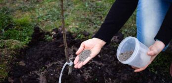 Metody spulchniania gleby w ogrodzie - narzędzia ręczne i maszyny do poprawy struktury ziemi