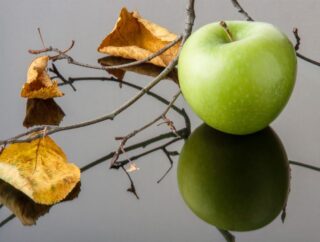 Jak zwalczać szkodniki jabłoni? Atakujące jabłonie owady i jak się ich pozbyć