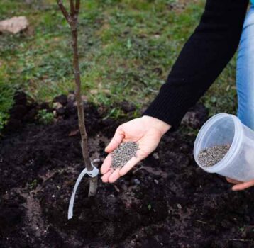 Metody spulchniania gleby w ogrodzie - narzędzia ręczne i maszyny do poprawy struktury ziemi
